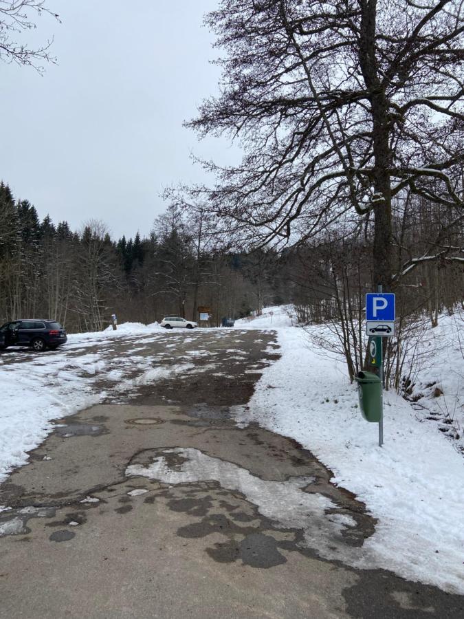 Gemuetliche Ferienwohnung Evieline In Todtmoos Luaran gambar
